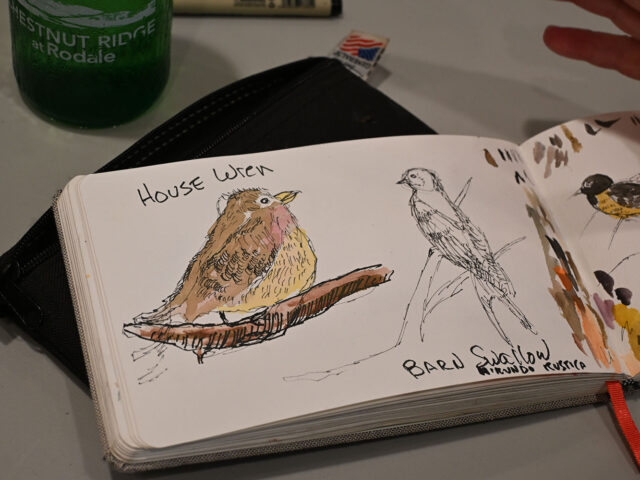 Chestnut Ridge Residents Convene for Creativity